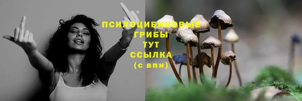 мдпв Покачи