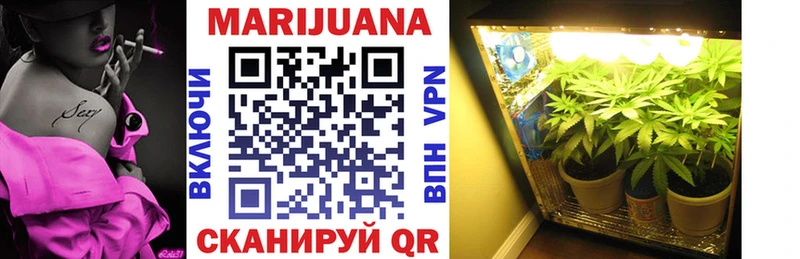 Бошки Шишки индика  Бавлы 